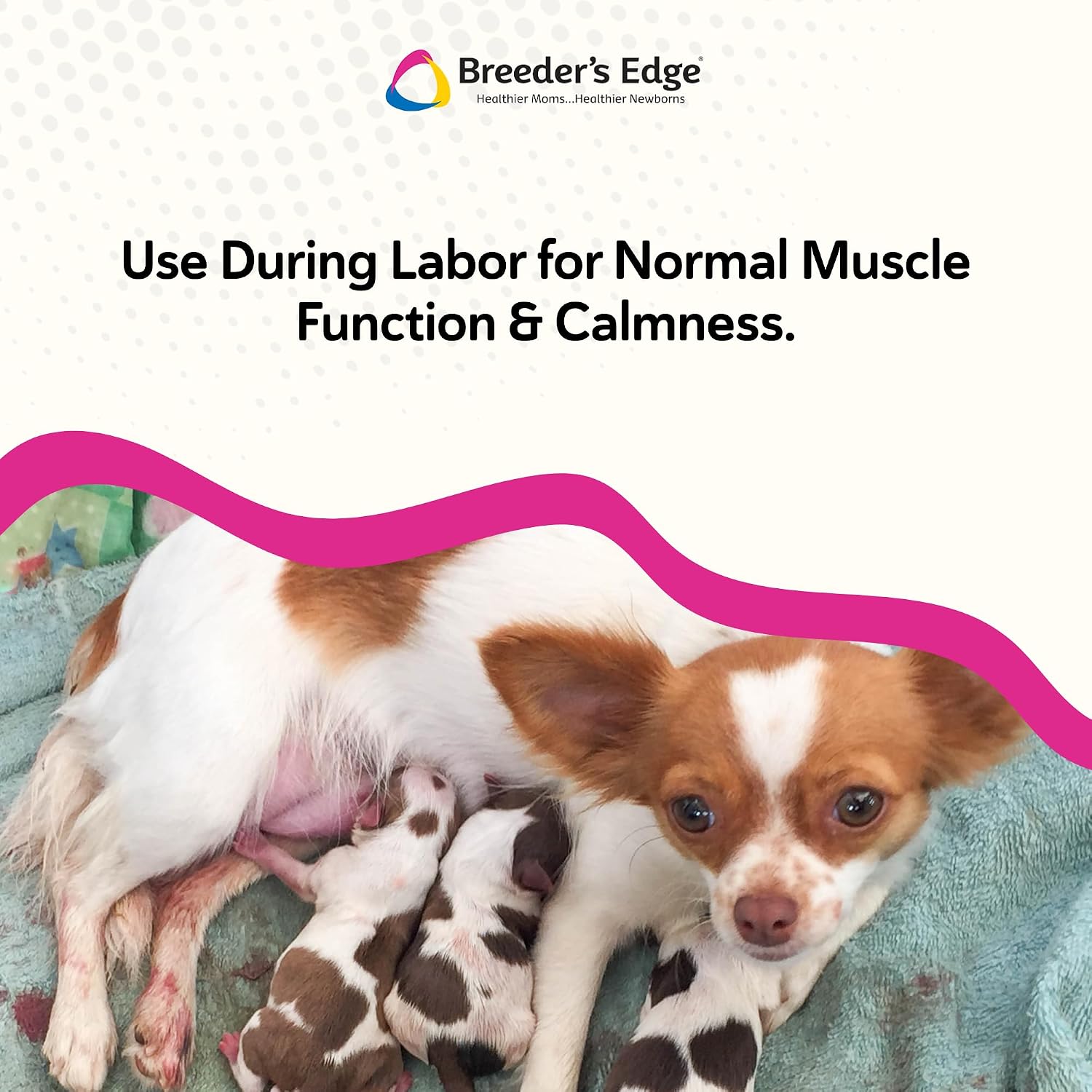 Breeder's Edge Oral Cal Plus Gel - Suplemento de Calcio para Perros y Gatos en Parto, 30 ml