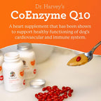 Dr. Harvey's Coenzyme Q10 - Suplemento de Apoyo Cardíaco y Cardiovascular para Perros, 60 Cápsulas