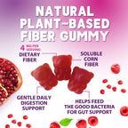Nature's Nutrition Fiber Gummies – Gomitas de fibra prebiótica sin azúcar, 4g por porción, 60 gomitas