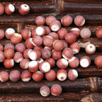 Gorgon Fruit ecológico seco - Semen Euryales (500 g)