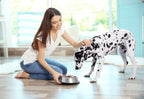 Pooch Nooch XL - Topper Gourmet para Perros con Levadura Nutricional y Hierbas - 213 g