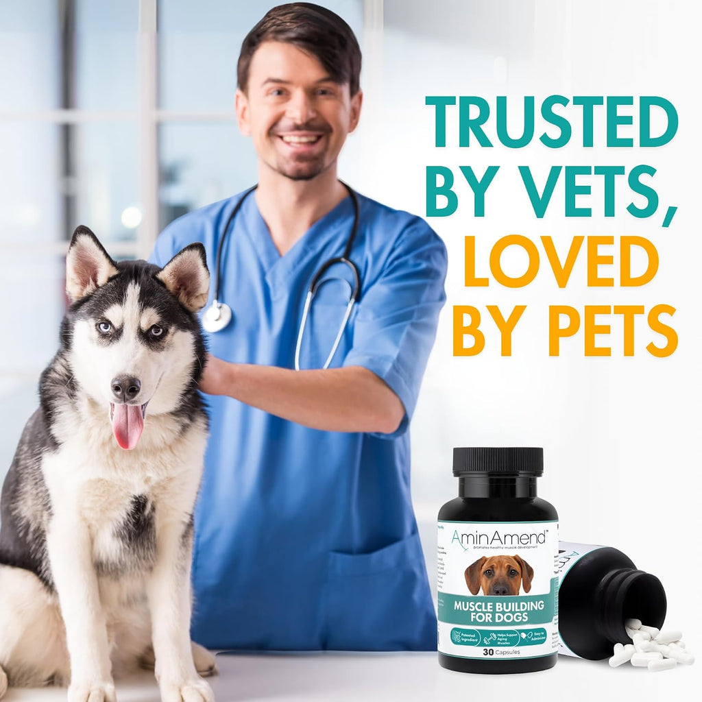 AminAmend Suplemento Muscular para Perros Grandes – CaHMB y Vitamina D3, 30 cápsulas