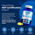 Berberine HCL 1200mg, 60 Cápsulas Vegetarianas - Certificado NSF - WeLikeVitamins
