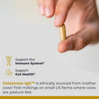 Premier Research Labs Calostro-IgG - Suplemento de Calostro Bovino, Grass Fed, para el Apoyo Inmunitario y la Salud Intestinal, con Lactoferrina, Aminoácidos, Nucleótidos - 90 Cápsulas