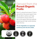 Triquetra Health – Vitamina C Orgánica de Fruta Entera con Bioflavonoides y Rutina (250 mg, 90 Cápsulas)