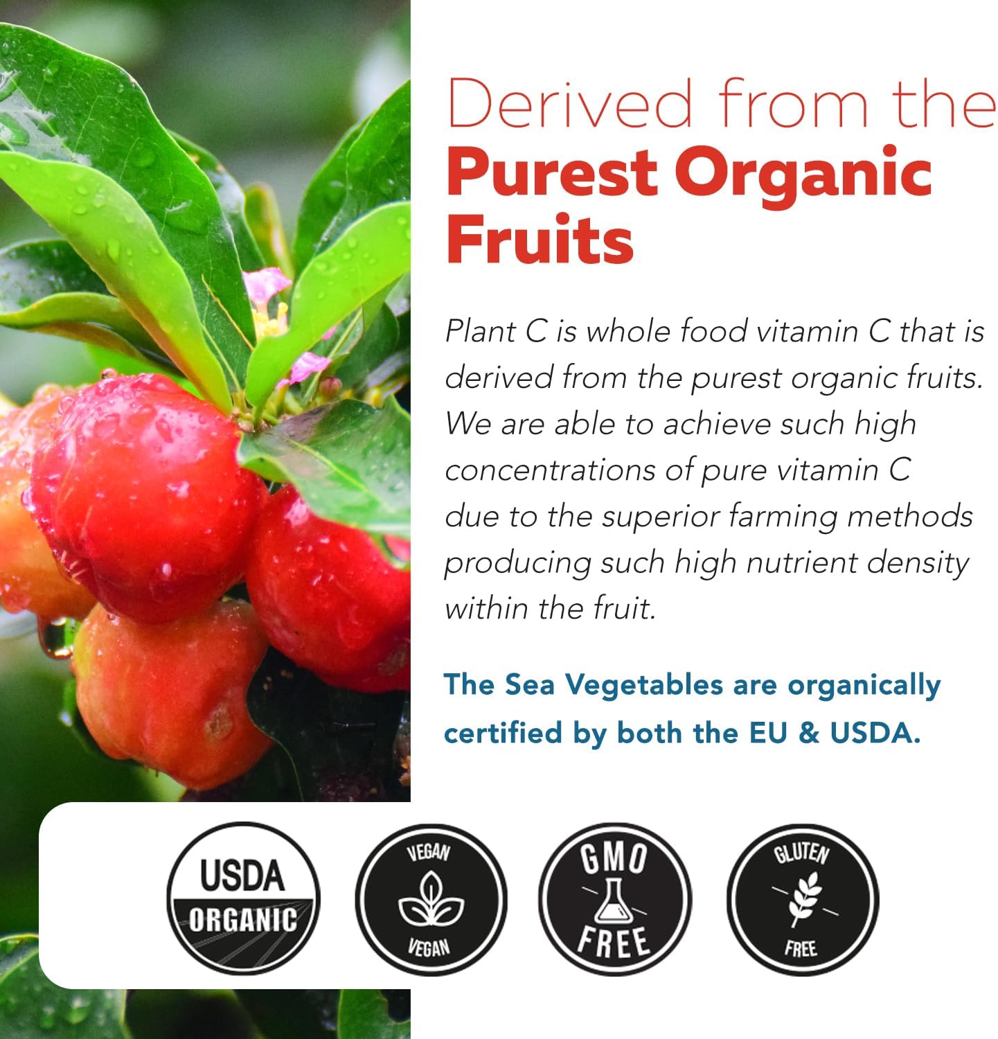 Triquetra Health – Vitamina C Orgánica de Fruta Entera con Bioflavonoides y Rutina (250 mg, 90 Cápsulas)