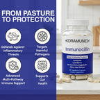 Oramune ImmunoCillin – Immune Supplement with Lactoferrin and Olive Extract, 60 Capsules