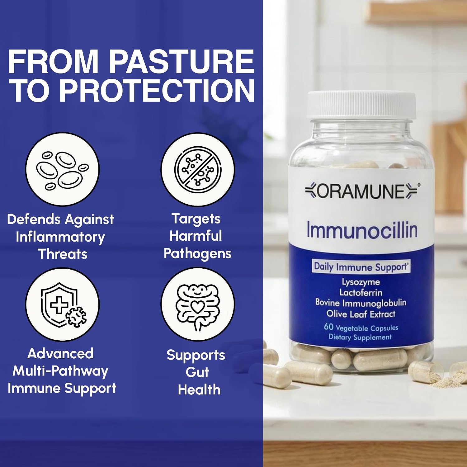 Oramune ImmunoCillin – Immune Supplement with Lactoferrin and Olive Extract, 60 Capsules