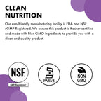 BlueBonnet Nutrition Creatina Monohidrato Micronizada 5g – Sin Sabor, 300g, 60 Servicios