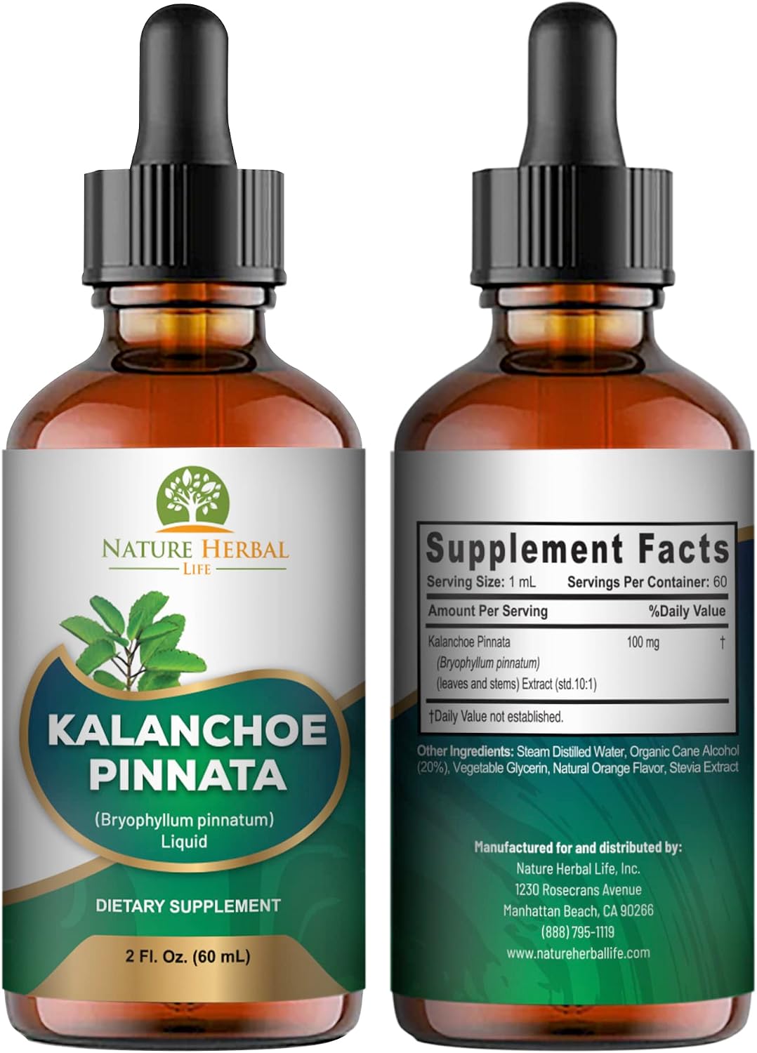 Kalanchoe Pinnata (Bryophyllum Pinnatum) Glicerita - Extracto Líquido de Hojas y Tallos - Suplemento Herbal Antioxidante - 60 ml
