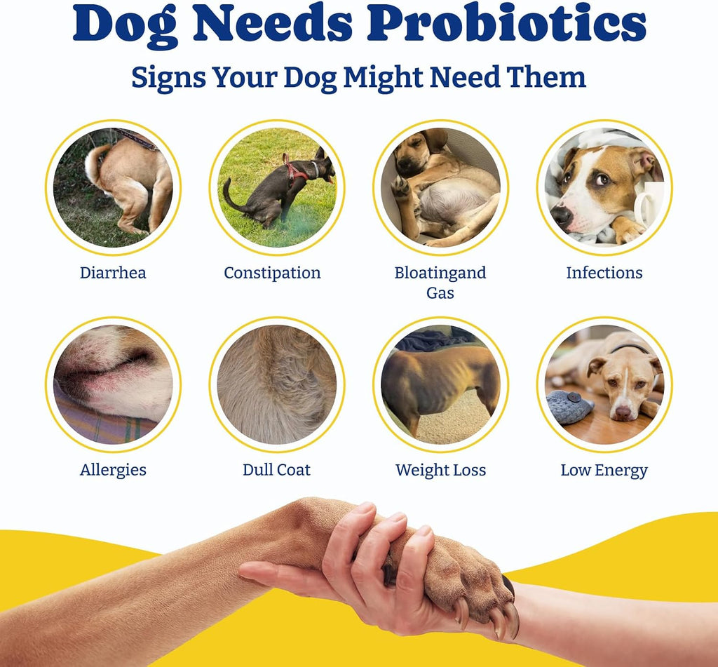 YoYoBay Probióticos para Perros - 6B UFC, Sabor a Pato y Pera - 2 Paquete (360 Chicles)