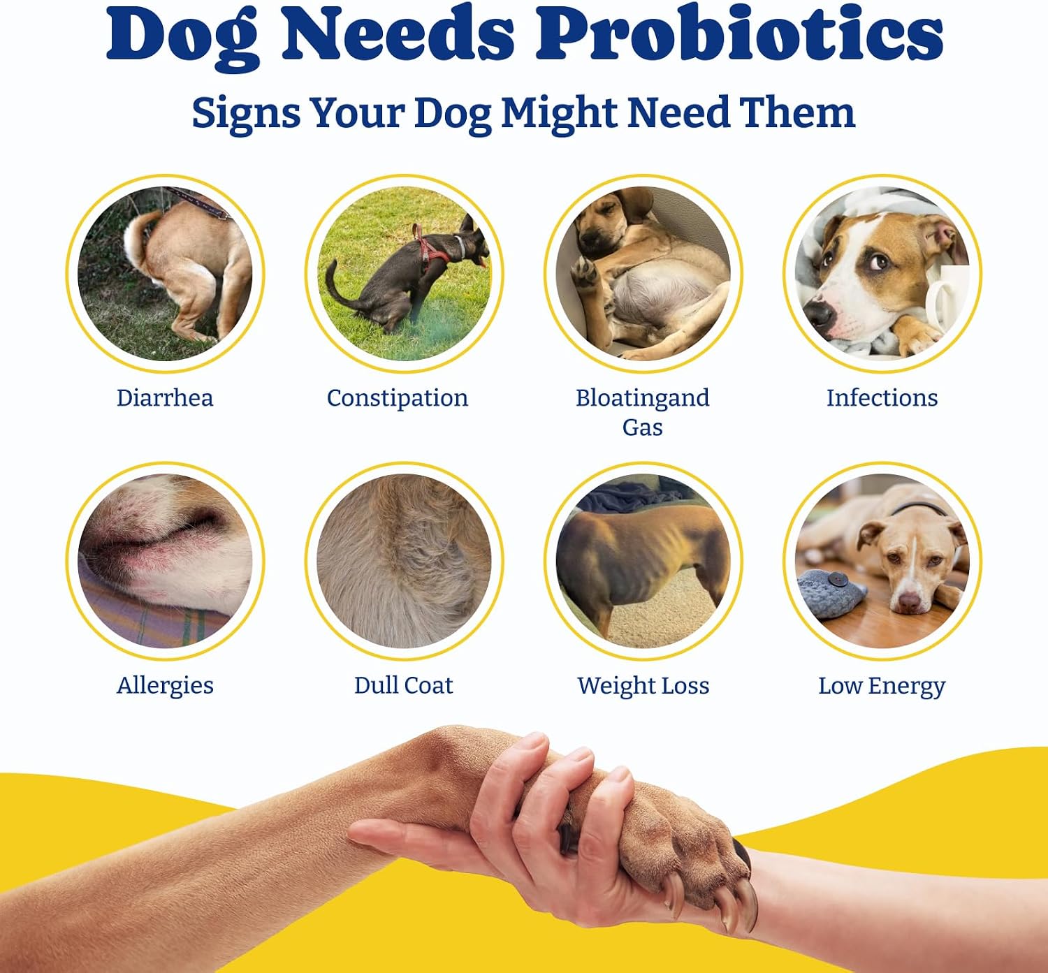 YoYoBay Probióticos para Perros - 6B UFC, Sabor a Pato y Pera - 2 Paquete (360 Chicles)