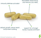 Life Leaf Remedies Immune Armor: Complemento Inmunitario con Vitamina C, D3, Zinc y Quercetina