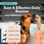 Suplemento Masticable para Perros Piel y Pelaje – Aceite de Salmón Omega 3, Biotina y Vitamina E – 180 unidades