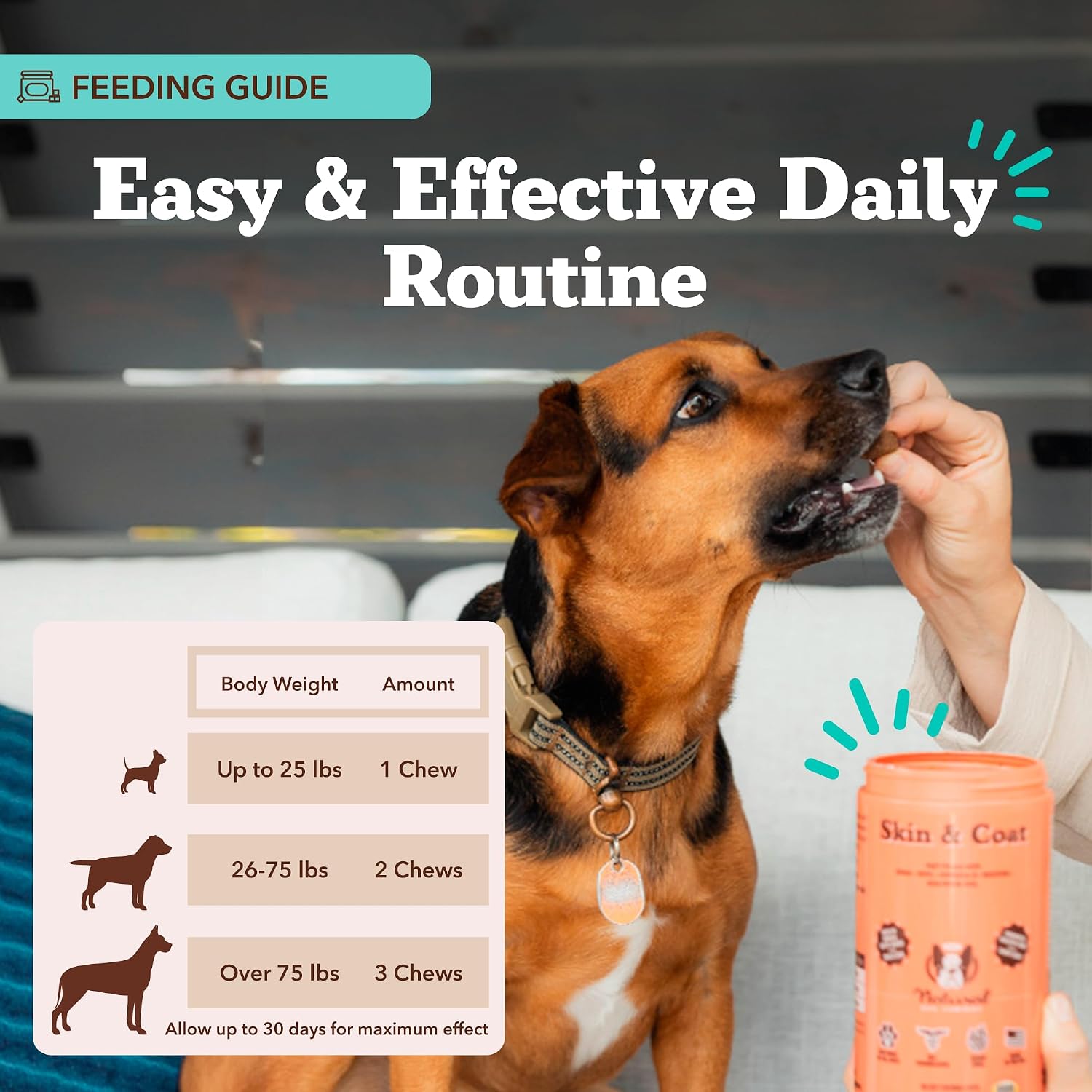 Suplemento Masticable para Perros Piel y Pelaje – Aceite de Salmón Omega 3, Biotina y Vitamina E – 180 unidades