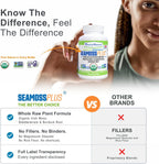 Power By Naturals Sea Moss Plus – Cápsulas Orgánicas de Musgo Irlandés con Bladderwrack y Raíz de Bardana – 60 Cápsulas (1 Mes)
