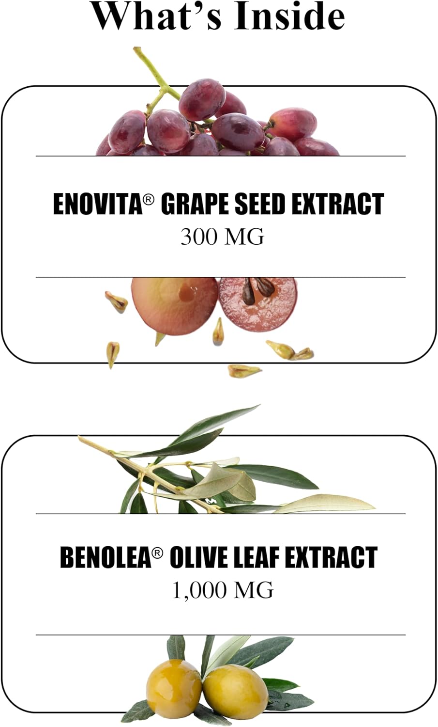 Durable Blood Pressure - Benolea Olivo y Enovita Uva
