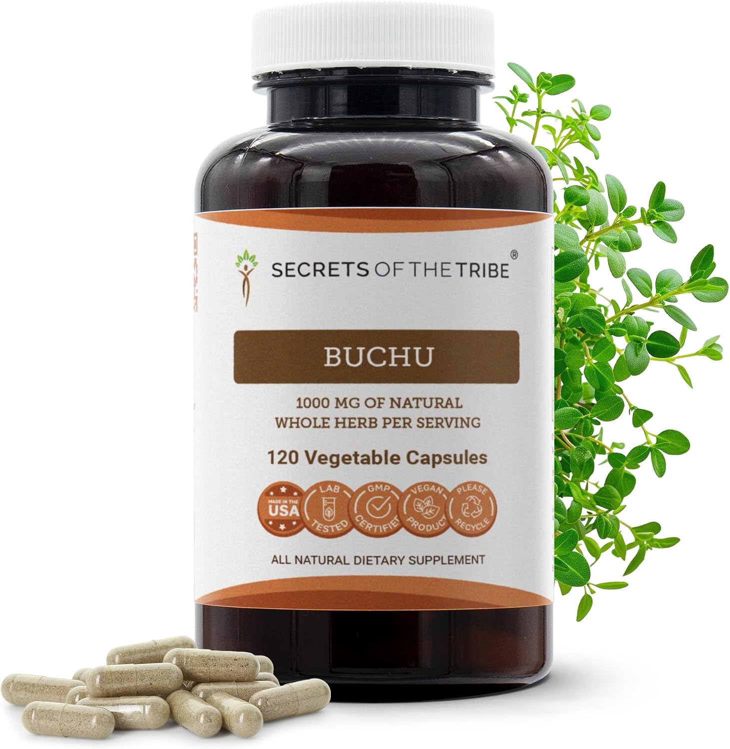 Secrets of the Tribe Buchu 120 Cápsulas, 1000 mg - Hojas Secas de Buchu (Agathosma Betulina)