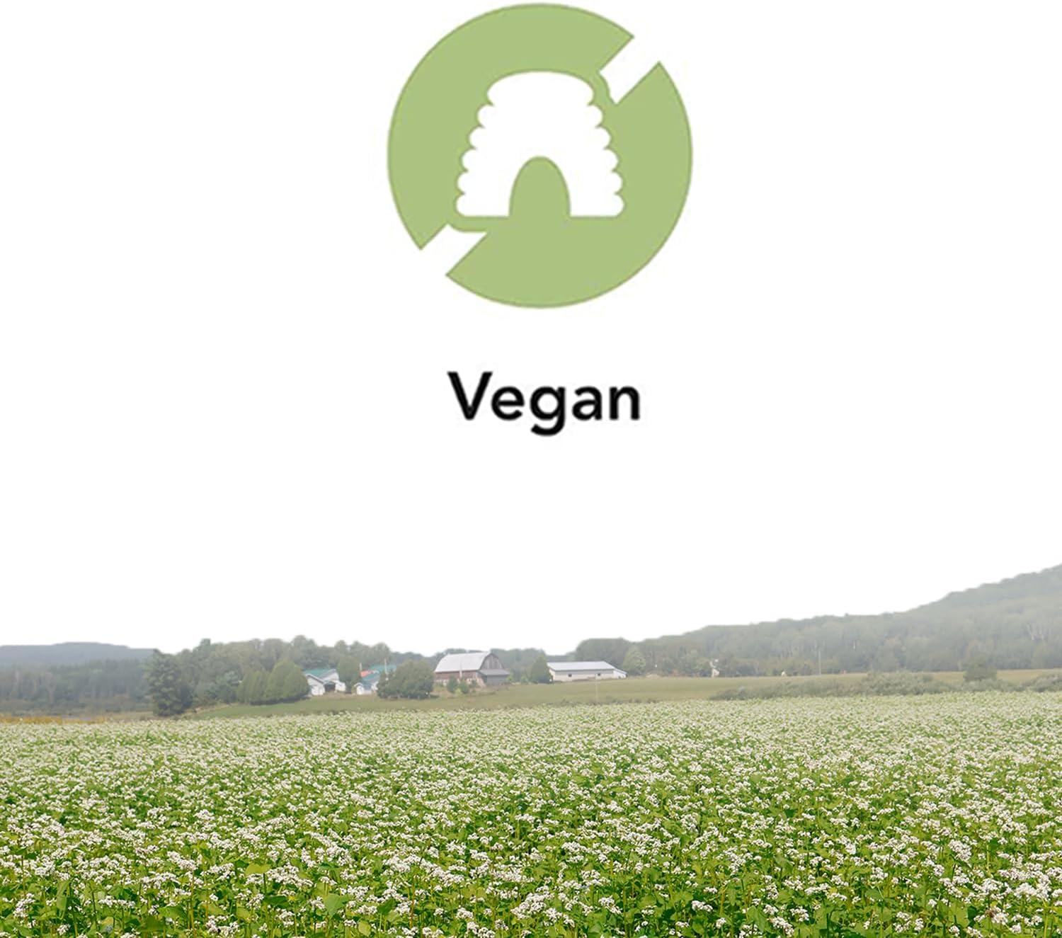 Deep Immune® de St. Francis Herb Farm – Suplemento Inmunológico, 90 Cápsulas