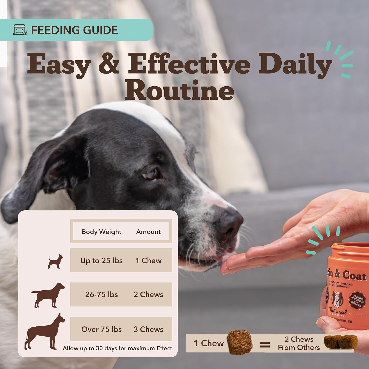 Natural Dog Company – Complemento de Aceite de Salmón Omega 3 para Perros, Piel y Pelaje, 90 masticables