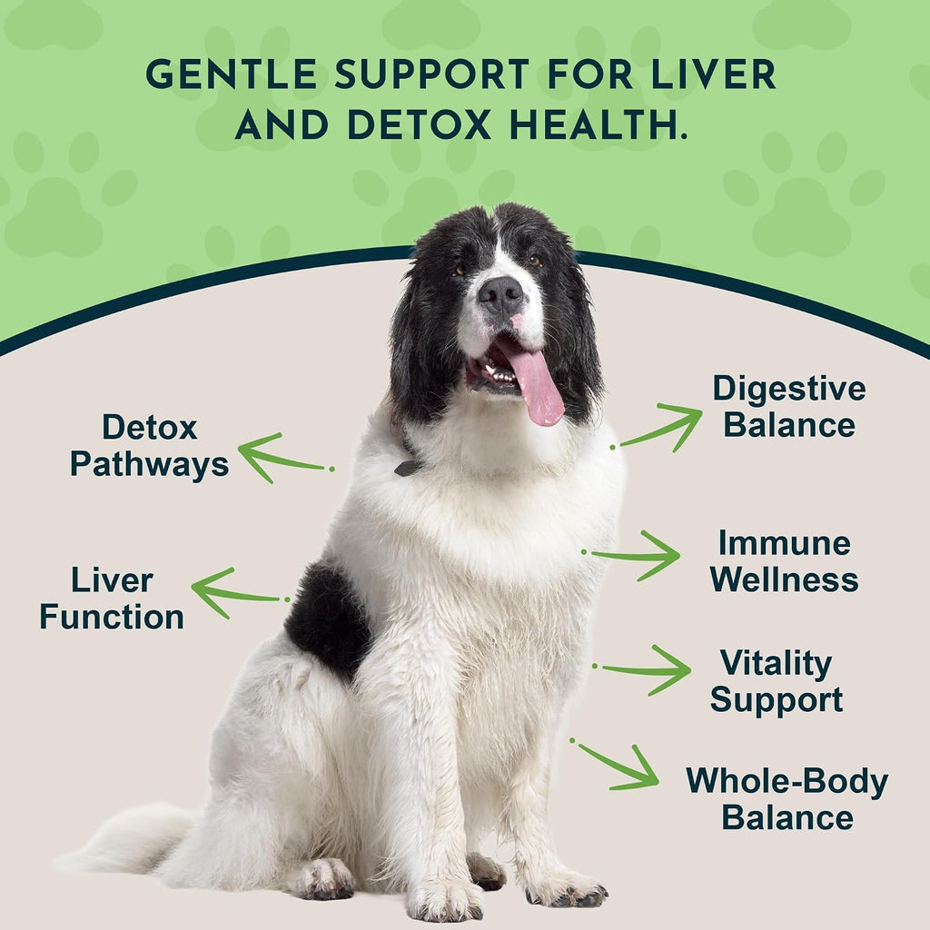 Animal Essentials Milk Thistle for Dogs and Cats - Liver Support, 150mg, Silymarin, Organic Herbal Capsules - 30 Count