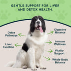 Animal Essentials Milk Thistle for Dogs and Cats - Liver Support, 150mg, Silymarin, Organic Herbal Capsules - 30 Count