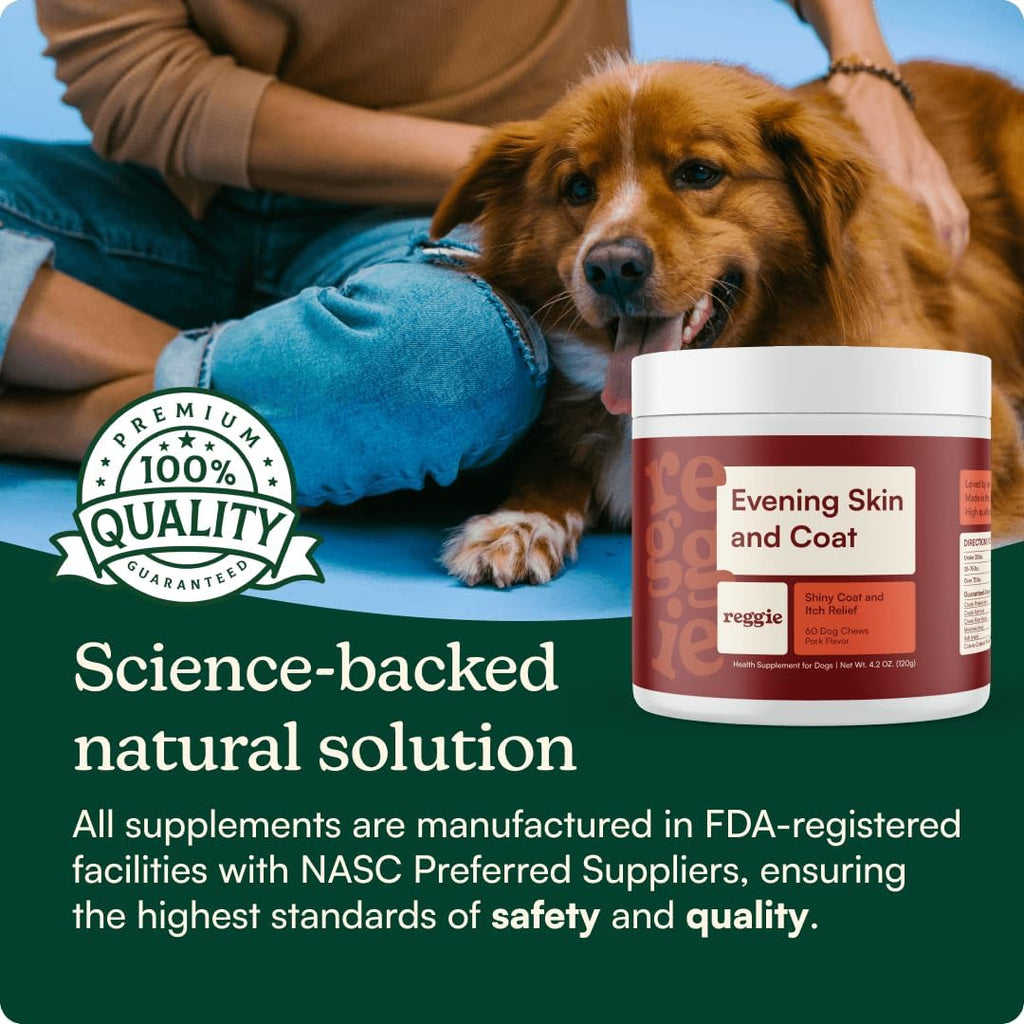 Reggie Suplemento para la Piel y el Pelaje de Perros con Omega-3 y Vitamina E - 60 Golosinas Blandas