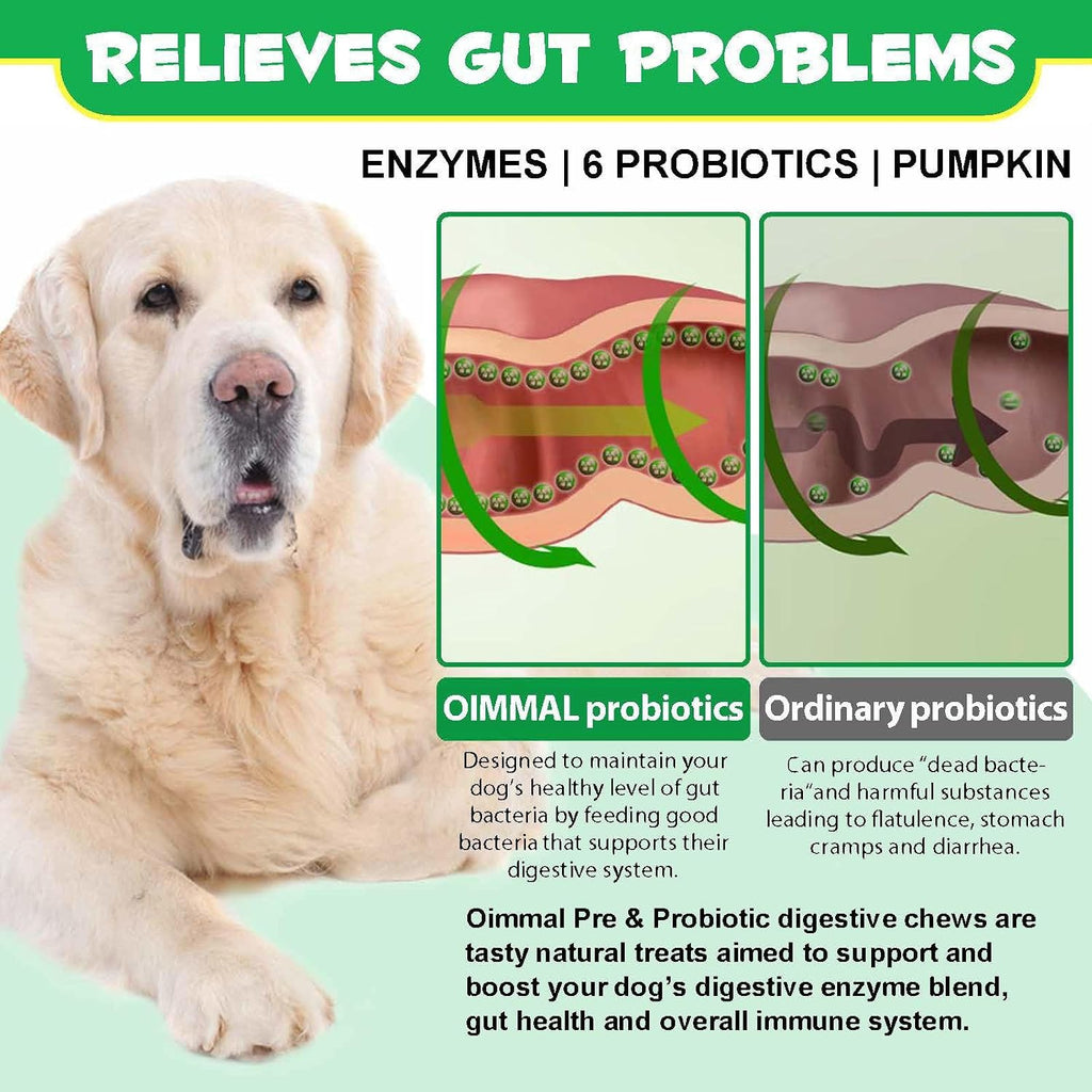 Probióticos para Perros con Enzimas Digestivas - 120 Masticables Sabor a Pato