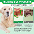 Probióticos para Perros con Enzimas Digestivas - 120 Masticables Sabor a Pato