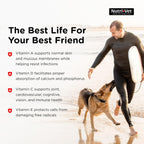 Nutri-Vet Senior-Vite Multivitamínico Masticable para Perros Mayores, 120 comprimidos