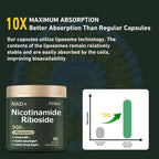 Airboy Nicotinamida Ribósida Liposomal 900 mg con Resveratrol y Quercetina - 320 Cápsulas (4 Envases de 80)