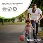 NaturesPlus Cal/Mag Citrate - 90 Vegetarian Capsules - 500mg Calcium, 250mg Magnesium - Bone, Muscle & Nerve Health