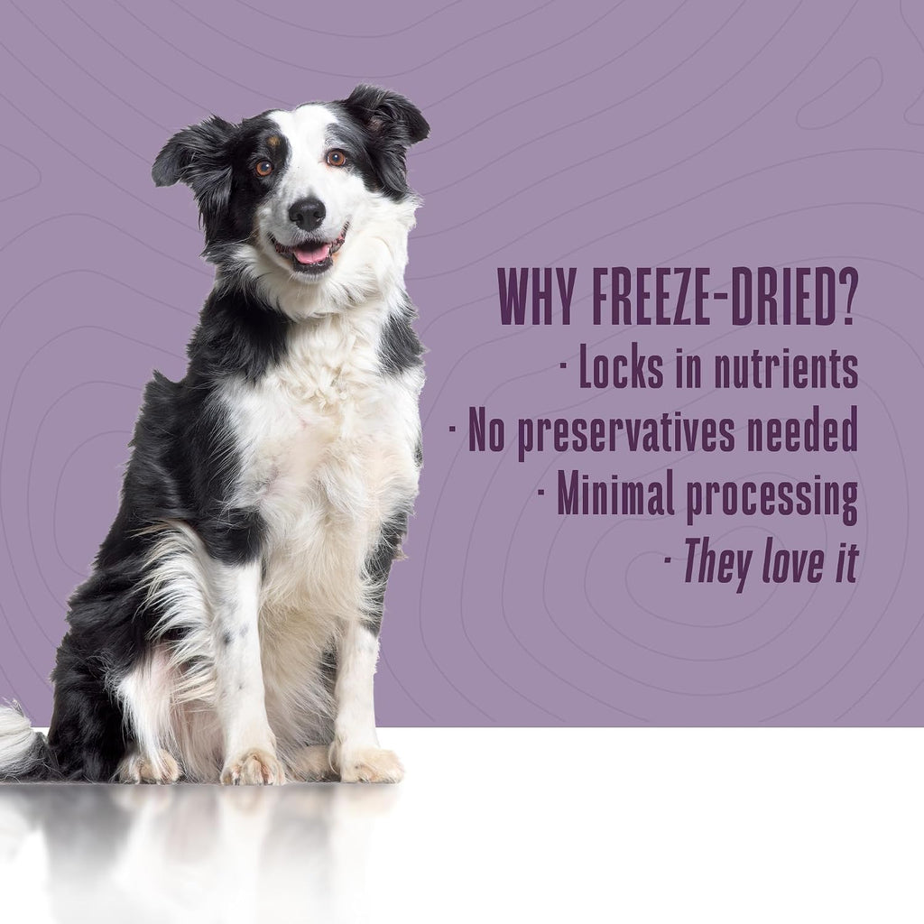 Whole Life Pet Healthy Skin Daily Supplement - Probióticos y Omega 3 para Perros, Apoyo Digestivo y Piel - 90 Dosis
