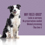 Whole Life Pet Healthy Skin Daily Supplement - Probióticos y Omega 3 para Perros, Apoyo Digestivo y Piel - 90 Dosis