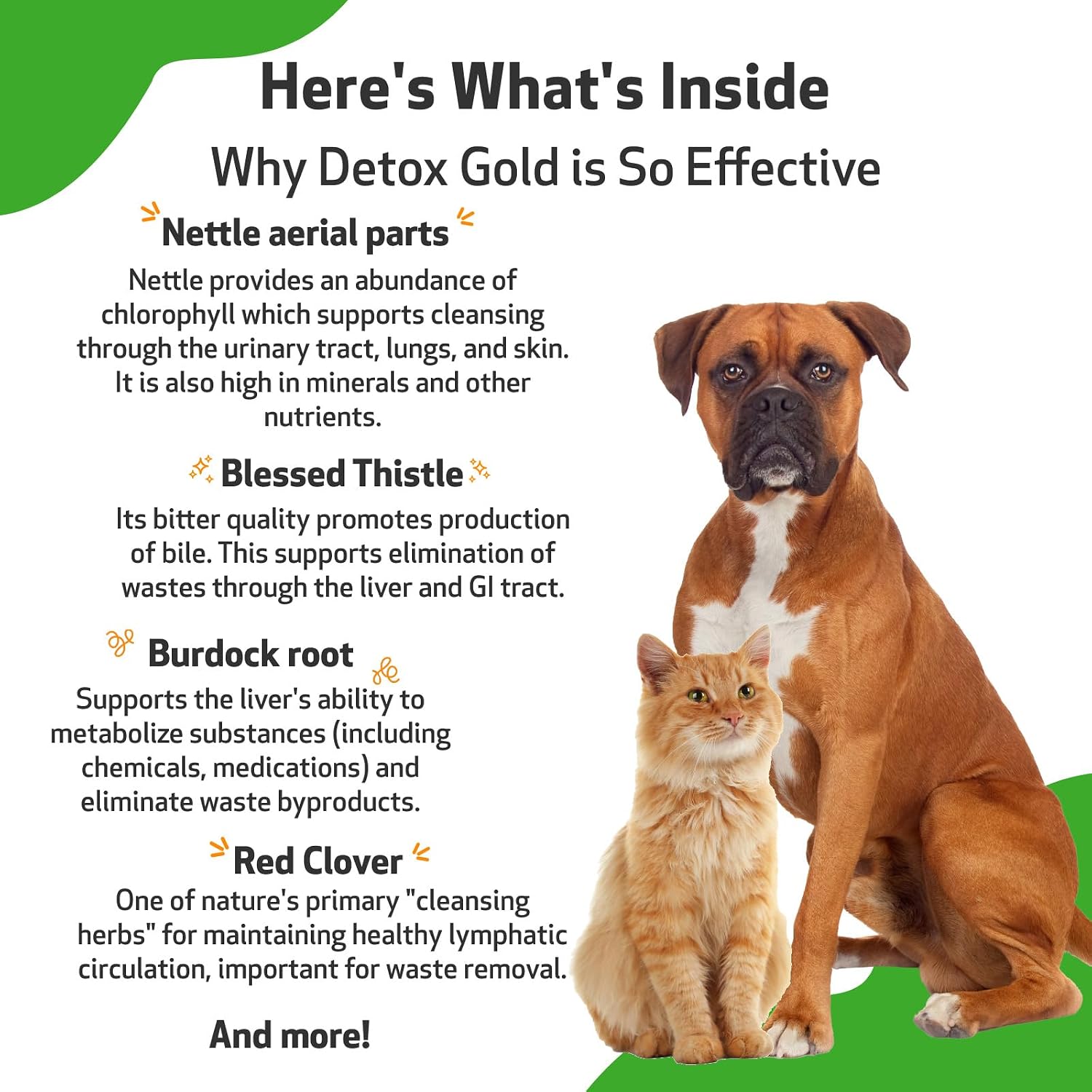 Pet Wellbeing Detox Gold para Perros y Gatos - Suplemento Herbal de Desintoxicación y Apoyo Inmunitario - 118 ml