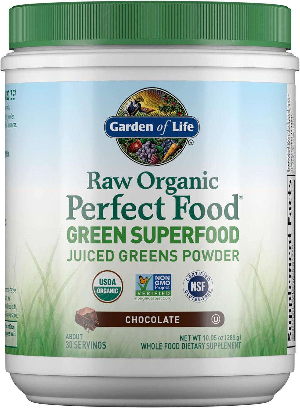 Garden of Life Raw Organic Perfect Food - Superalimento Verde en Polvo Sabor Chocolate, 30 Raciones
