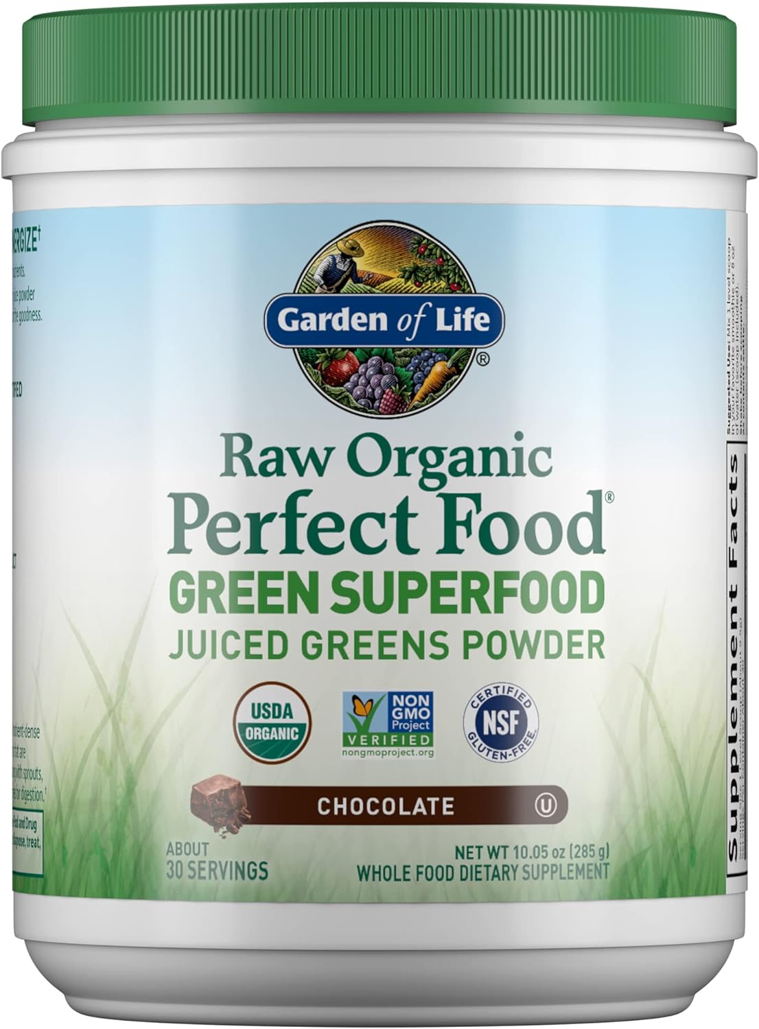 Garden of Life Raw Organic Perfect Food - Superalimento Verde en Polvo Sabor Chocolate, 30 Raciones