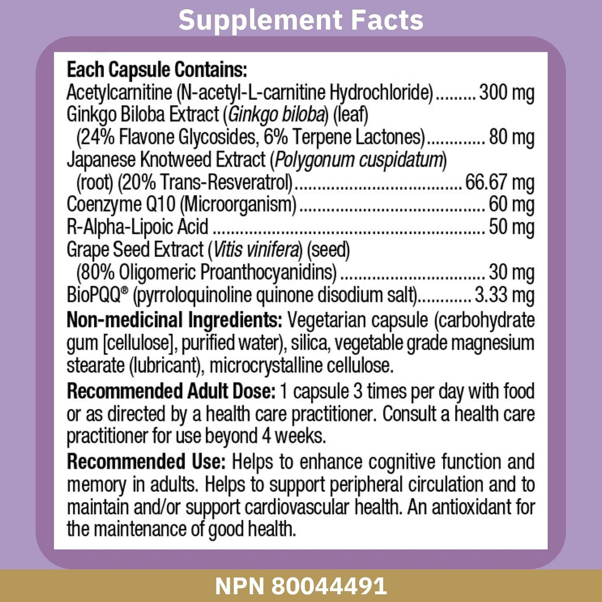 Bioclinic Naturals Mitolife Amp 60 Vcaps – Participan en el metabolismo energético, ayudando a reducir el – Image 3