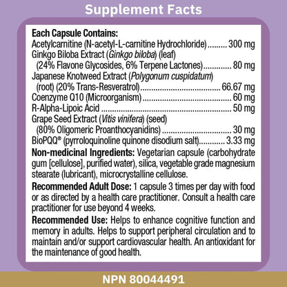 Bioclinic Naturals Mitolife Amp 60 Vcaps – Participan en el metabolismo energético, ayudando a reducir el – Image 3