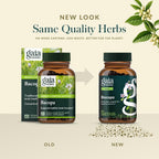 Gaia Herbs Bacopa - Complemento Alimenticio Herbal con Bacopa Monnieri - 60 Cápsulas Líquidas Veganas