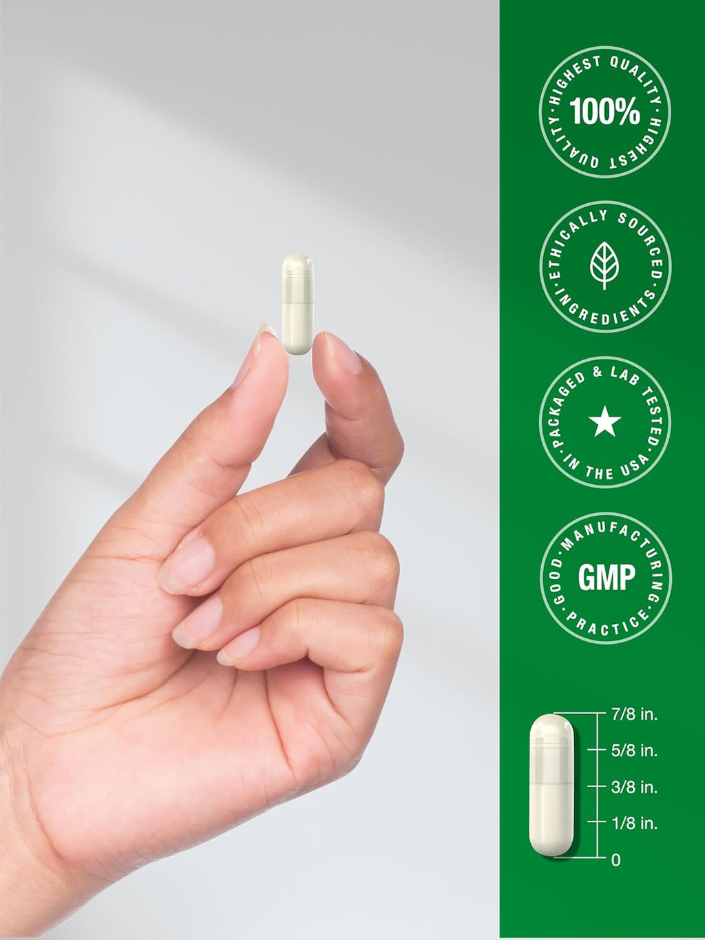 Horbäach Mejillón de Labios Verdes, 120 Cápsulas - Polvo Freeze-Dried de Nueva Zelanda