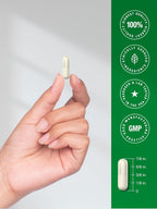 Horbäach Mejillón de Labios Verdes, 120 Cápsulas - Polvo Freeze-Dried de Nueva Zelanda