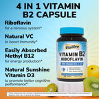 Vitamina B2 400 mg, Riboflavina, Vitamina B Esencial Diaria, Forma Fácilmente Absorbible, con B12, D3, VC, 120 Cápsulas