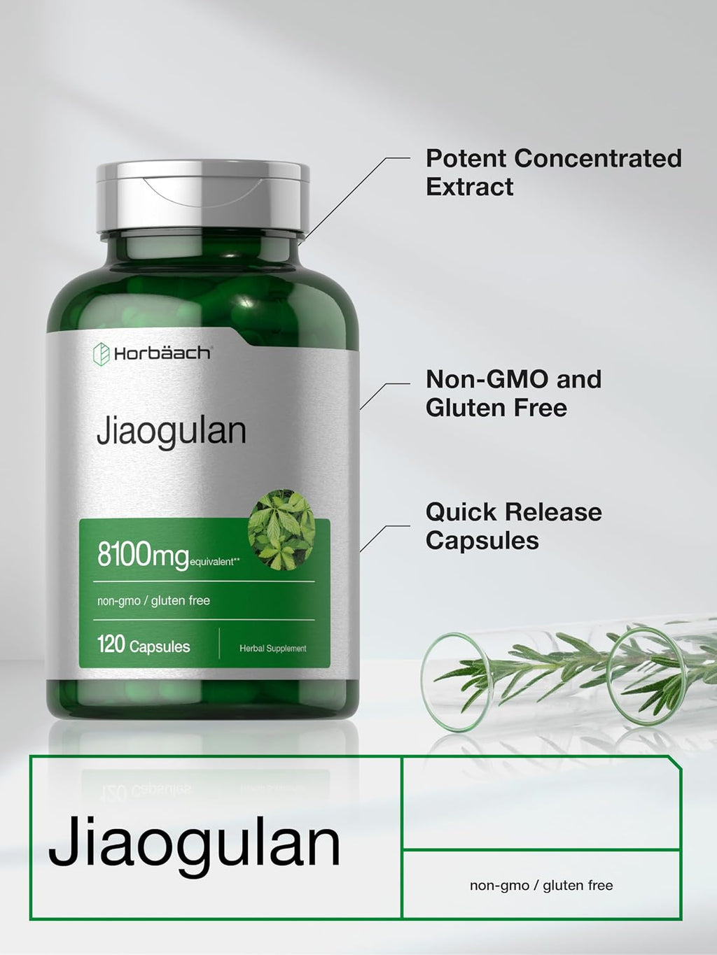 Horbäach Jiaogulan Cápsulas | 120 Unidades | Extracto de Gynostemma Pentaphyllum | Suplemento para la Vitalidad y Resistencia | No Transgénico, Sin Gluten