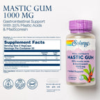 Solaray Extracto de Goma de Masilla 500 mg, 45 Cápsulas