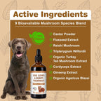 Suplemento de Hongos para Perros y Gatos – Tratamiento de Bultos y Lipomas – con Reishi, Cola de Pavo, Matsutake y Cordyceps – Líquido 104 ml