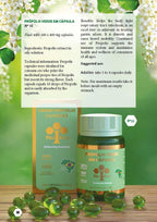 Wax Green Brazil Bee Propolis con Vitamina C y E (300 mg, 100 Cápsulas Blandas) - Pack de 6