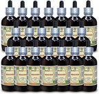 Nirgundi (Vitex Negundo) Extracto Líquido Sin Alcohol - HerbalTerra 4x120 ml