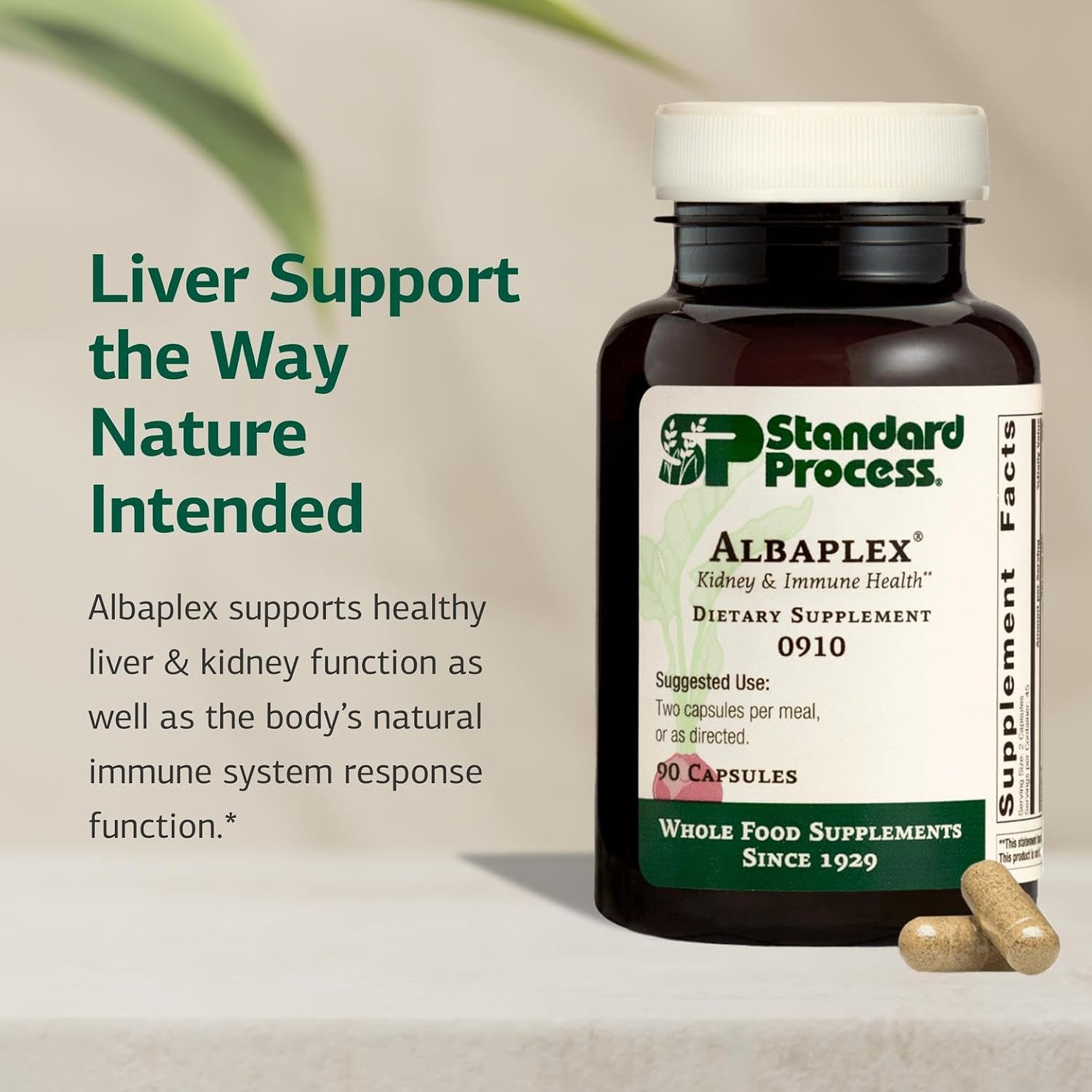 Standard Process Albaplex - Complemento para hígado e inmunidad - 90 cápsulas