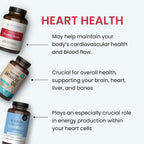 The Wellness Company Healthy Heart - Apoyo Cardiovascular, Flujo Sanguíneo, Óxido Nítrico y Niveles de Colesterol Saludables | 120 comprimidos (2 Meses)